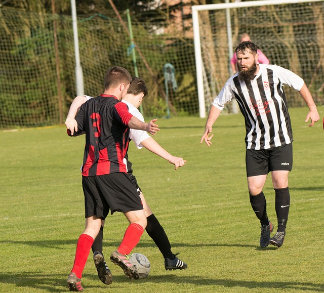 穆里尼奥依 穆里尼奥依