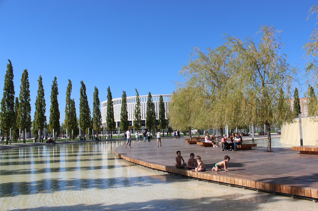 活动的开展 活动的开展