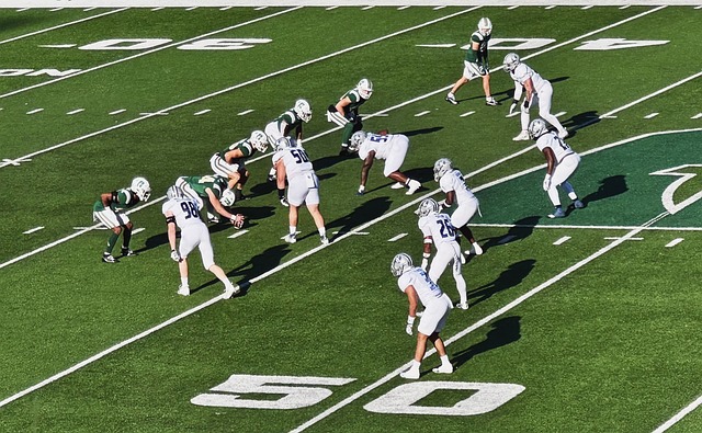 追逐金钱的 追逐金钱的