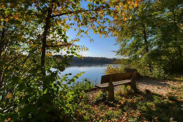 态的背景和 态的背景和