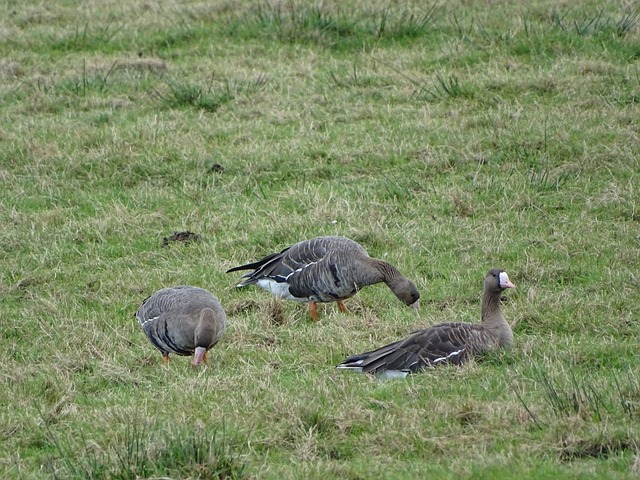不僅體現了 不僅體現了