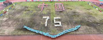 在库里的带 在库里的带